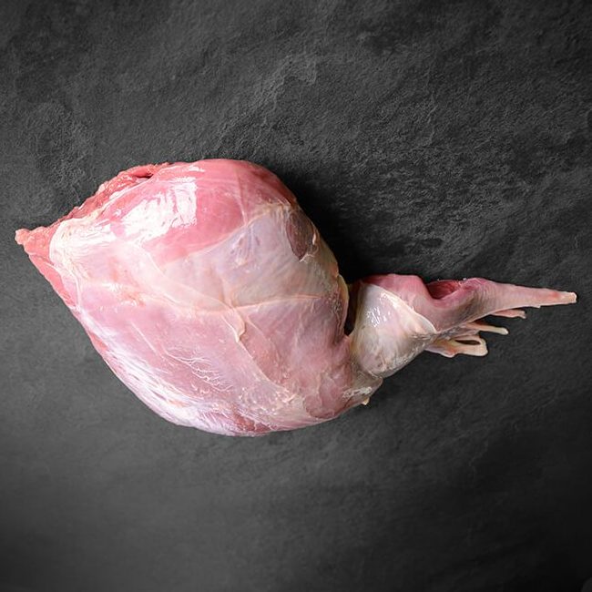Rehkeule Rehkeule
